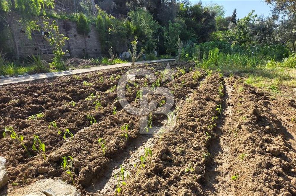 KEMALPAŞA ARMUTLU'DA İÇİNDE EVİ OLAN MUHTEŞEM BAHÇE-SATILIK