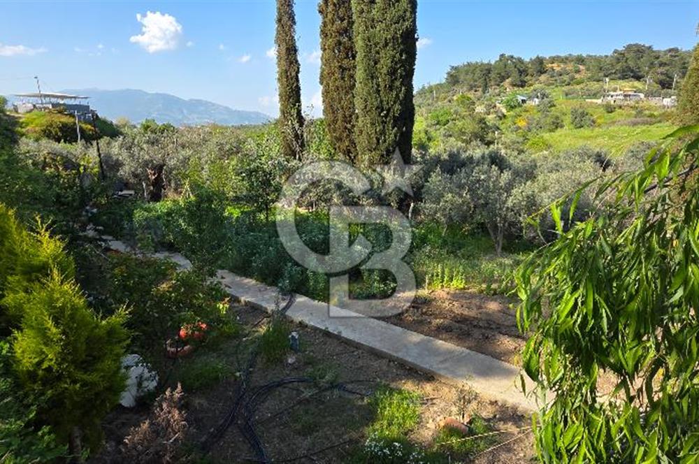 KEMALPAŞA ARMUTLU'DA İÇİNDE EVİ OLAN MUHTEŞEM BAHÇE-SATILIK