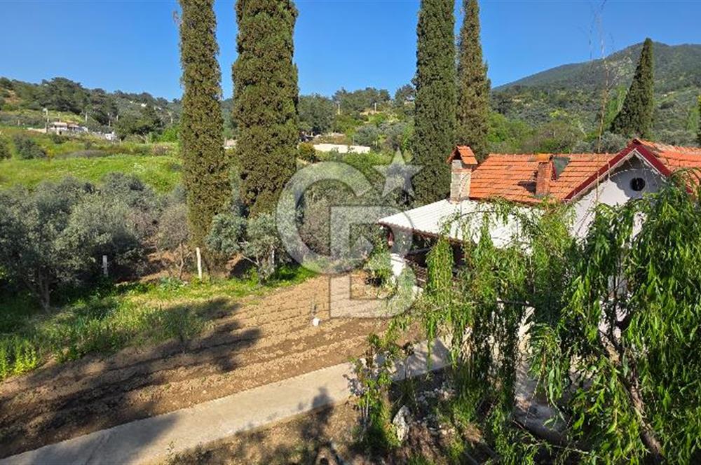 KEMALPAŞA ARMUTLU'DA İÇİNDE EVİ OLAN MUHTEŞEM BAHÇE-SATILIK