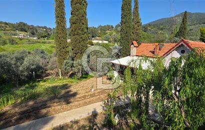 KEMALPAŞA ARMUTLU'DA İÇİNDE EVİ OLAN MUHTEŞEM BAHÇE-SATILIK