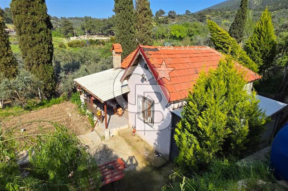 KEMALPAŞA ARMUTLU'DA İÇİNDE EVİ OLAN MUHTEŞEM BAHÇE-SATILIK