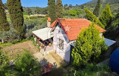 KEMALPAŞA ARMUTLU'DA İÇİNDE EVİ OLAN MUHTEŞEM BAHÇE-SATILIK