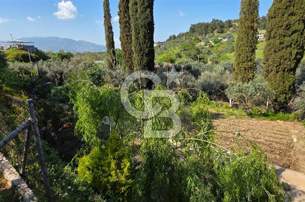 KEMALPAŞA ARMUTLU'DA İÇİNDE EVİ OLAN MUHTEŞEM BAHÇE-SATILIK