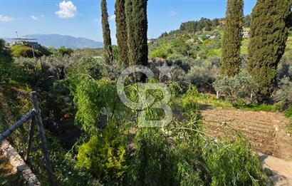 KEMALPAŞA ARMUTLU'DA İÇİNDE EVİ OLAN MUHTEŞEM BAHÇE-SATILIK