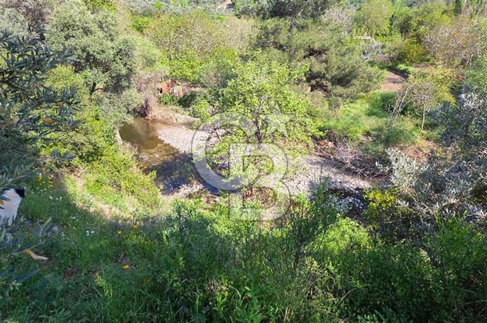 KEMALPAŞA ARMUTLU'DA İÇİNDE EVİ OLAN MUHTEŞEM BAHÇE-SATILIK