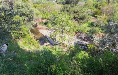 KEMALPAŞA ARMUTLU'DA İÇİNDE EVİ OLAN MUHTEŞEM BAHÇE-SATILIK