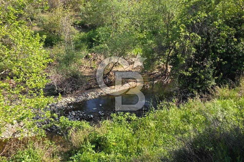 KEMALPAŞA ARMUTLU'DA İÇİNDE EVİ OLAN MUHTEŞEM BAHÇE-SATILIK