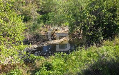 KEMALPAŞA ARMUTLU'DA İÇİNDE EVİ OLAN MUHTEŞEM BAHÇE-SATILIK