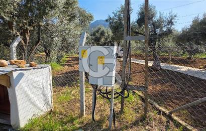 KEMALPAŞA ARMUTLU'DA İÇİNDE EVİ OLAN MUHTEŞEM BAHÇE-SATILIK