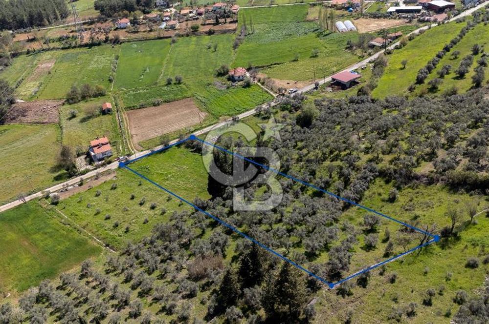 Muğla Ula Kızılağaç Satılık 19.5 Milyon TL Yatırımlık Tarla