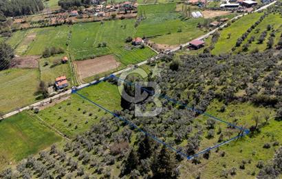 Muğla Ula Kızılağaç Satılık 19.5 Milyon TL Yatırımlık Tarla