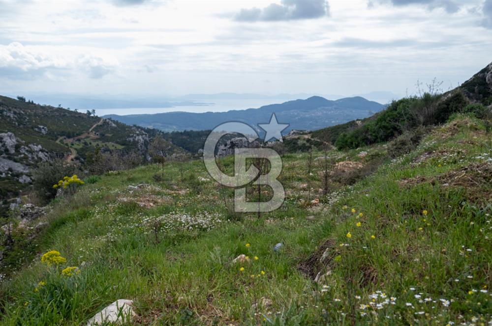 Muğla Menteşe Zeytin'de Satılık Konut İmarlı Arsa