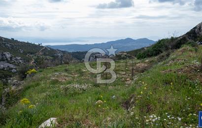 Muğla Menteşe Zeytin'de Satılık Konut İmarlı Arsa