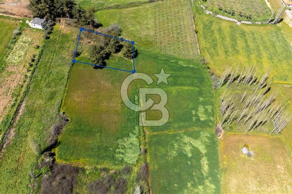 Muğla Ula Kızılağaçta Kiralık 1.200.000 TL Yatırımlık Tarla