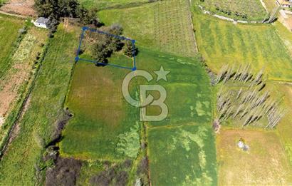 Muğla Ula Kızılağaçta Kiralık 1.200.000 TL Yatırımlık Tarla