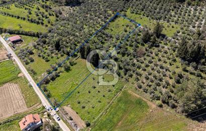 Muğla Ula Kızılağaç Satılık 19.5 Milyon TL Yatırımlık Tarla