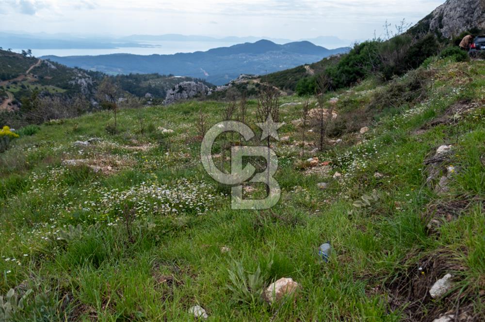 Muğla Menteşe Zeytin'de Satılık Konut İmarlı Arsa
