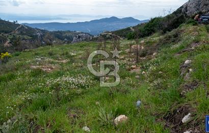 Muğla Menteşe Zeytin'de Satılık Konut İmarlı Arsa