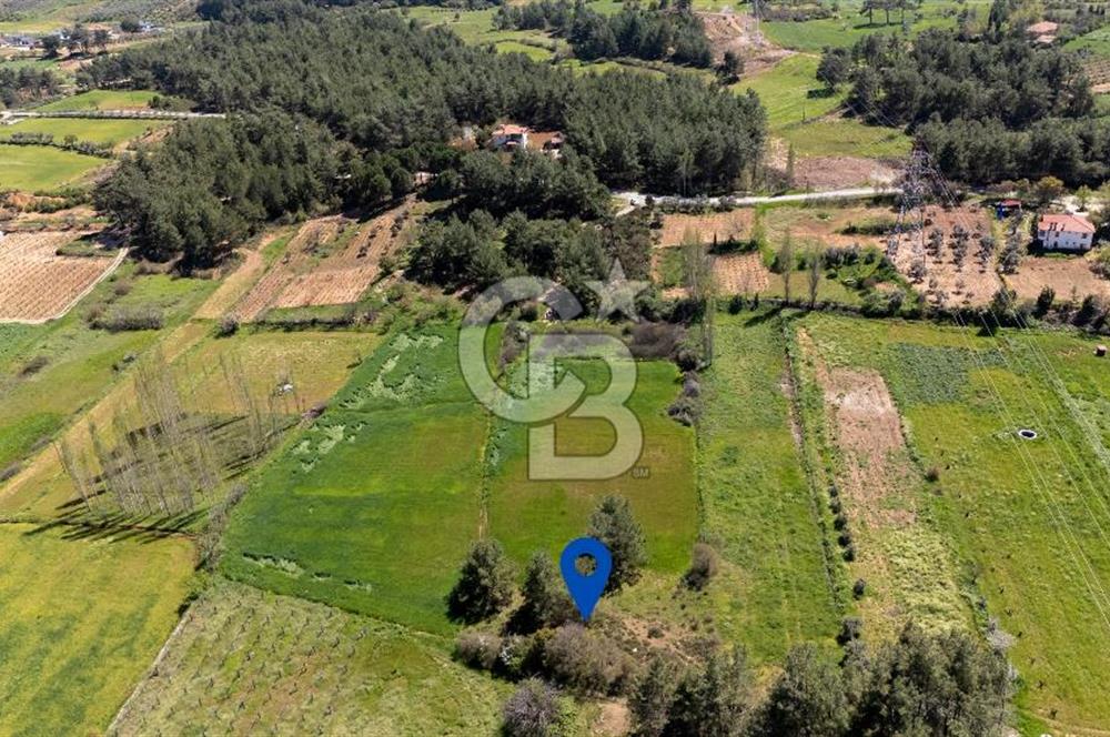 Muğla Ula Kızılağaçta Kiralık 1.200.000 TL Yatırımlık Tarla