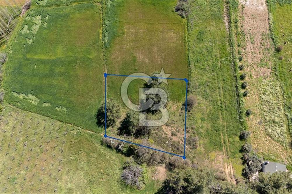 Muğla Ula Kızılağaçta Kiralık 1.200.000 TL Yatırımlık Tarla