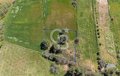 Muğla Ula Kızılağaçta Kiralık 1.200.000 TL Yatırımlık Tarla