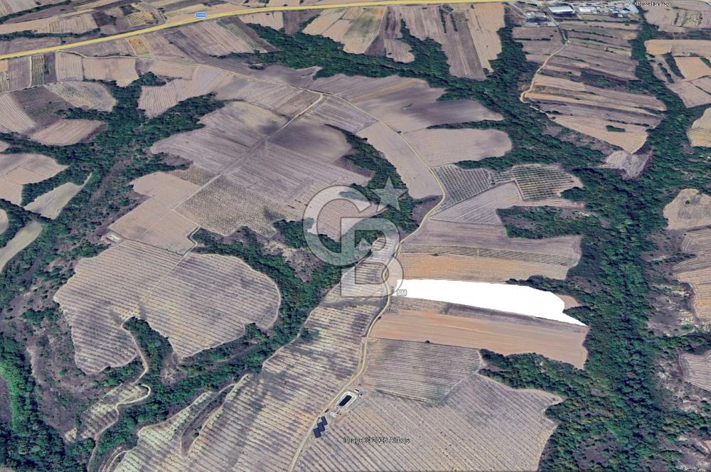 Edirne Uzunköprü Yeniköy'de Bağcılık ve Çiftlik İçin Uygun Satılık Tarla