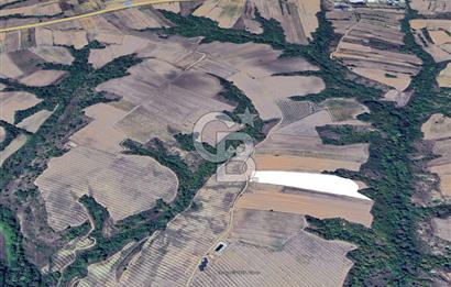 Edirne Uzunköprü Yeniköy'de Bağcılık ve Çiftlik İçin Uygun Satılık Tarla