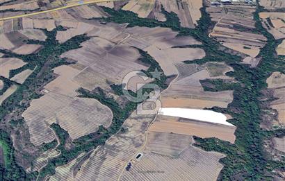 Edirne Uzunköprü Yeniköy'de Bağcılık ve Çiftlik İçin Uygun Satılık Tarla