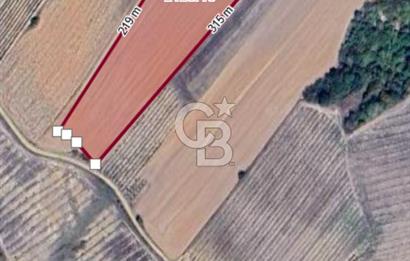 Edirne Uzunköprü Yeniköy'de Bağcılık ve Çiftlik İçin Uygun Satılık Tarla