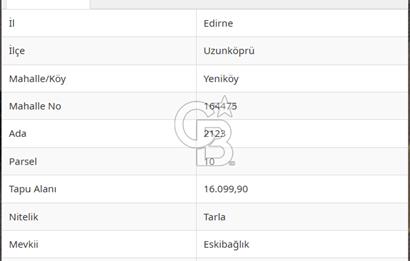 Edirne Uzunköprü Yeniköy'de Bağcılık ve Çiftlik İçin Uygun Satılık Tarla