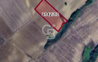 Edirne Uzunköprü Yeniköy Satılık Yatırımlık Tarla