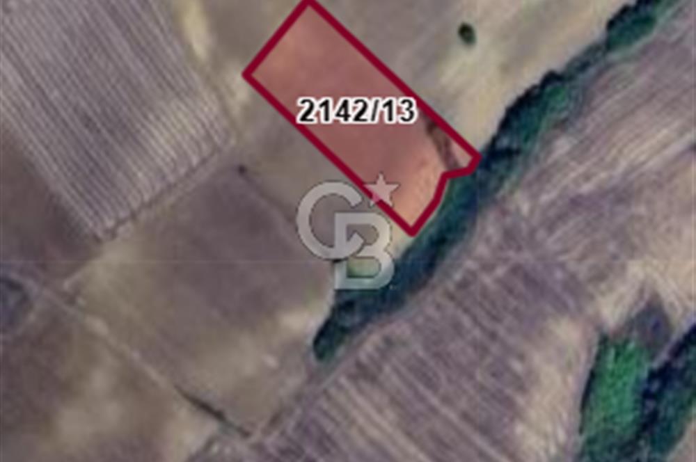 Edirne Uzunköprü Yeniköy Satılık Yatırımlık Tarla