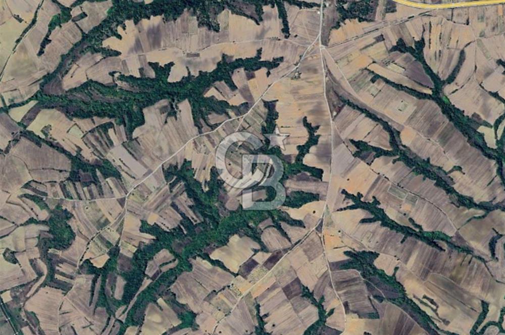 Edirne Uzunköprü Yeniköy Satılık Yatırımlık Tarla