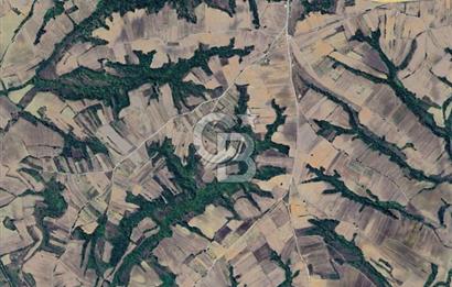 Edirne Uzunköprü Yeniköy Satılık Yatırımlık Tarla