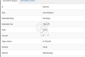 Edirne Uzunköprü Yeniköyde Satılık Yatırımlık Tarla - 5 - 346425