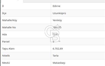 Edirne Uzunköprü Yeniköyde Satılık Yatırımlık Tarla