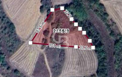 Edirne Uzunköprü Yeniköyde Satılık Yatırımlık Tarla