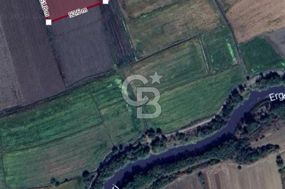 Edirne Uzunköprü Yeniköy Sulu Tarıma Uygun Satılık Tarla