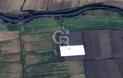 Edirne Uzunköprü Yeniköy Sulu Tarıma Uygun Satılık Tarla