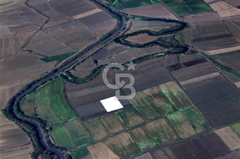 Edirne Uzunköprü Yeniköy Sulu Tarıma Uygun Satılık Tarla
