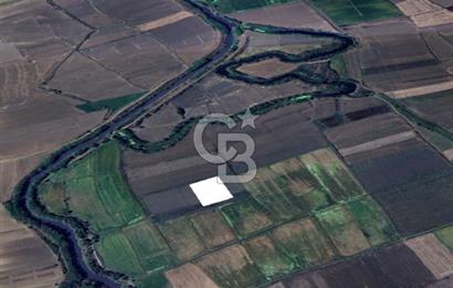 Edirne Uzunköprü Yeniköy Sulu Tarıma Uygun Satılık Tarla
