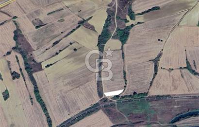 Edirne Uzunköprü Yeniköy Satılık Yatırımlık Tarla