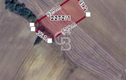 Edirne Uzunköprü Yeniköy'de Satılık Yatırımlık Tarla