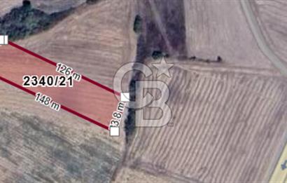 Edirne Uzunköprü Yeniköy Ana Yola 2.Parsel Satılık Tarla