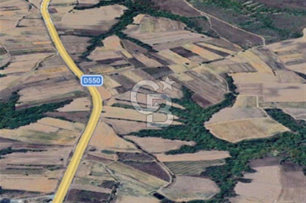 Edirne Uzunköprü Yeniköy Ana Yola 2.Parsel Satılık Tarla