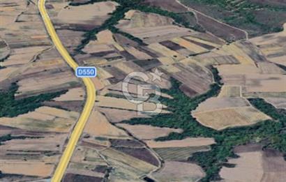 Edirne Uzunköprü Yeniköy Ana Yola 2.Parsel Satılık Tarla