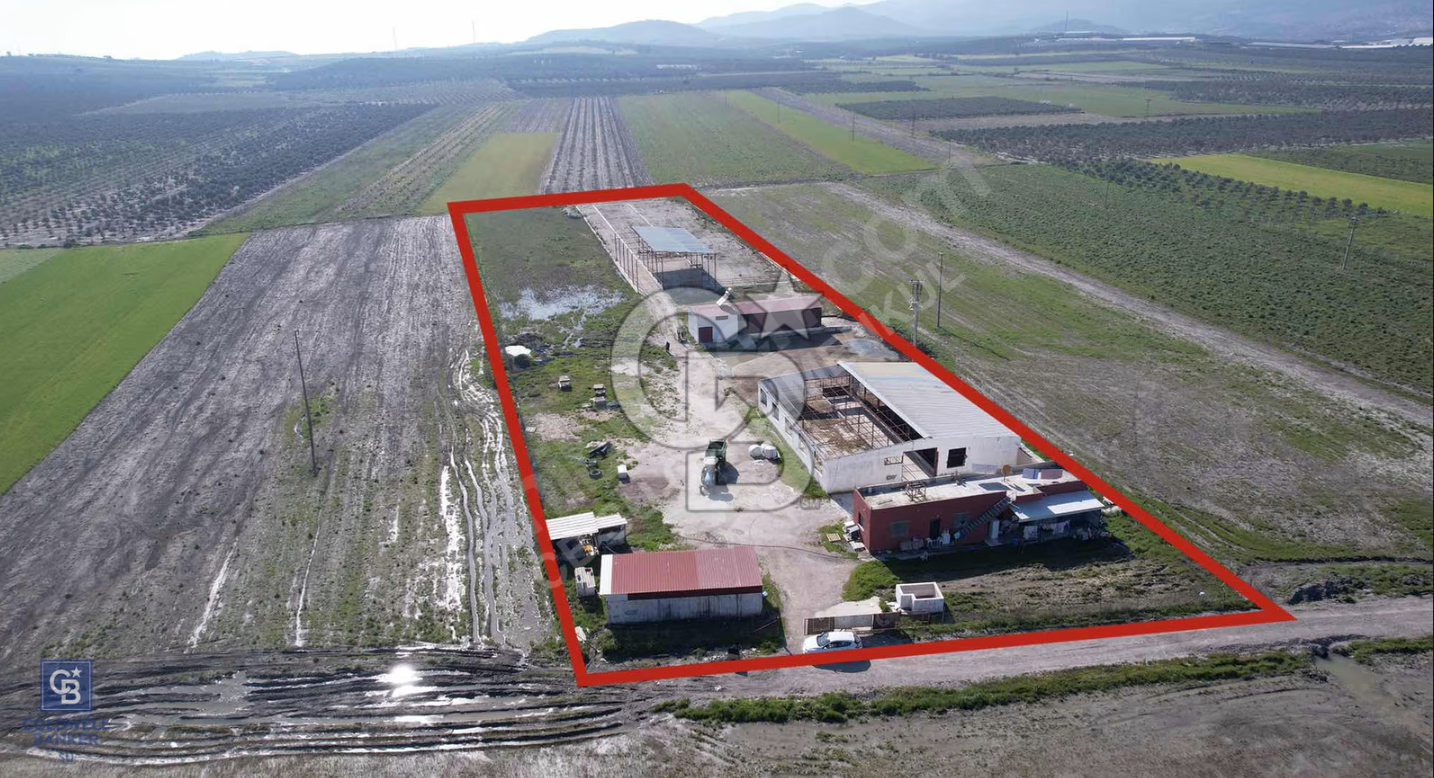 Ruhsatlı 12.036 M² Tarım & Hayvancılık Arazisi