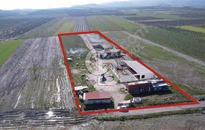Ruhsatlı 12.036 M² Tarım & Hayvancılık Arazisi