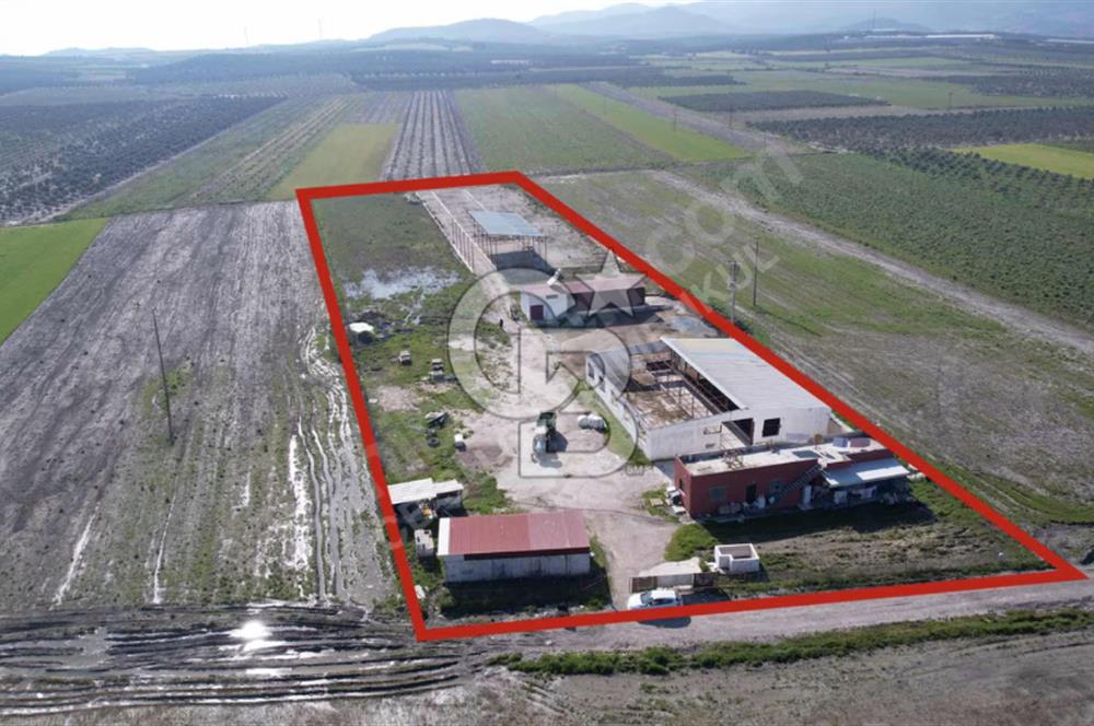 Ruhsatlı 12.036 M² Tarım & Hayvancılık Arazisi