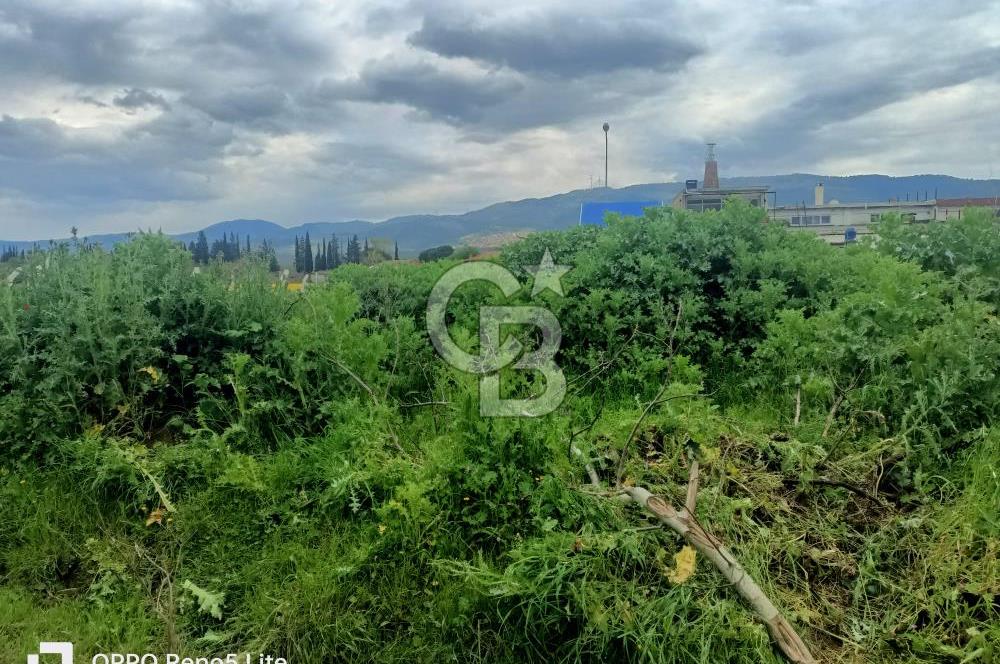 CB Leader'den Havranda Yapı İzinli Sanayi Bölgesinde Ticari Arsa